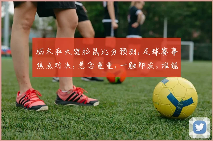 枥木和大宫松鼠比分预测,足球赛事焦点对决,悬念重重,一触即发,谁能笑到最后