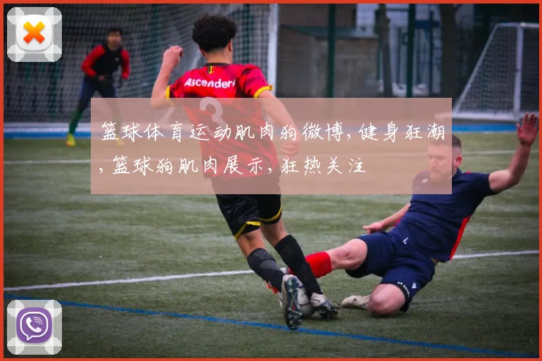 篮球体育运动肌肉狗微博,健身狂潮,篮球狗肌肉展示,狂热关注