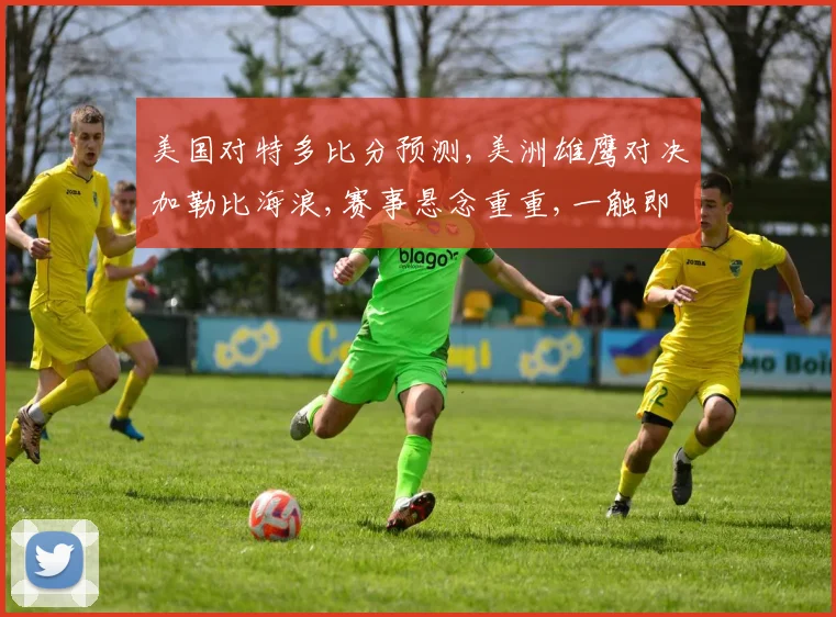 美国对特多比分预测,美洲雄鹰对决加勒比海浪,赛事悬念重重,一触即发